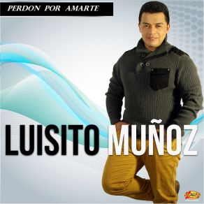 Perdón Por Amarte album cover