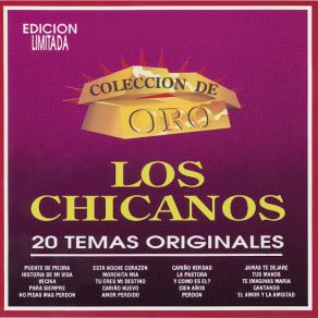 Coleccion De Oro " 20 Temas Originales " album cover