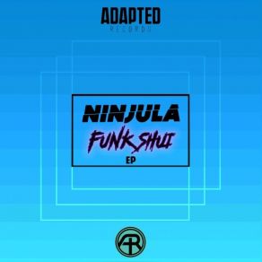 Funk Shui album cover