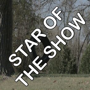 Star Of The Show - Tribute To Thomas Rhett album cover