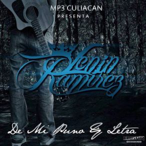 Album De Mi Puno Y Letra album cover