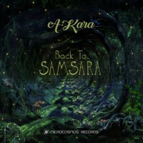 Back To Samsara album cover