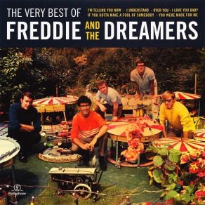 The Very Best Of Freddie And The Dreamers album cover