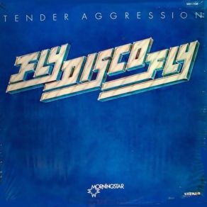 Fly Disco Fly album cover