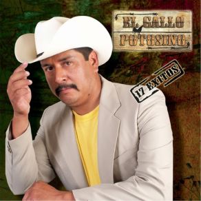 17 Exitos album cover
