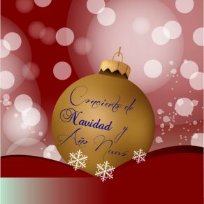 Concierto De Navidad Y Año Nuevo album cover