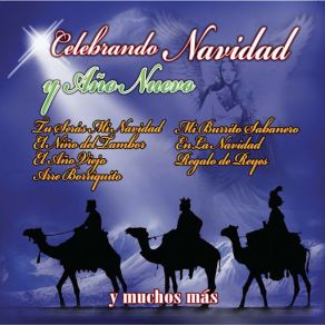 Celebrando Navidad Y Ano Nuevo album cover