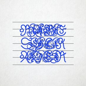 Traditional Music Of Notional Species Vol. II album cover