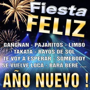 Fiesta Feliz Año Nuevo! album cover