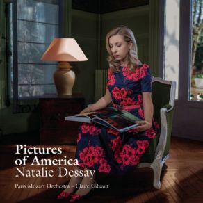 Pictures Of America album cover