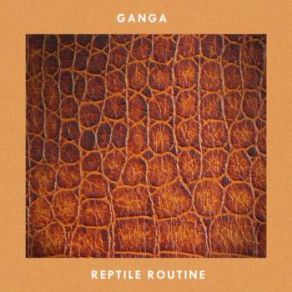 Reptile Routine album cover