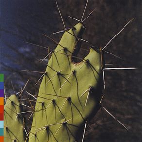Island Of Ghosts album cover