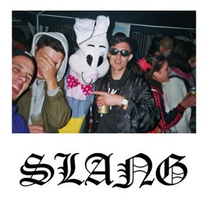 Slang (Single) album cover
