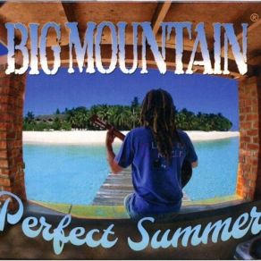 Perfect Summer album cover