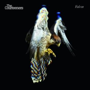 Falcon album cover