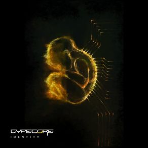 Identity album cover
