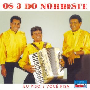 Eu Piso E Você Pisa album cover