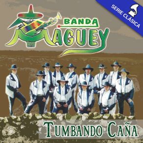 Tumbando Caña (Edición Clásica) album cover