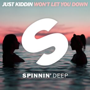 Won't Let You Down album cover