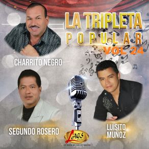 La Tripleta Popular, Vol. 24 album cover
