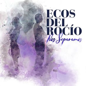 Nos Separamos (Single) album cover