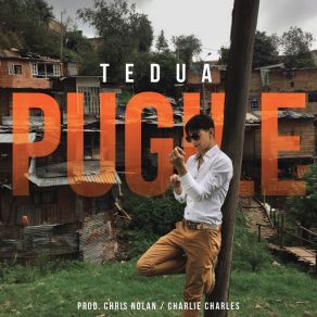 Pugile (Single) album cover
