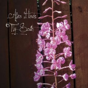 Fly South album cover