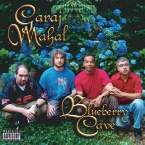 Blueberry Cave album cover