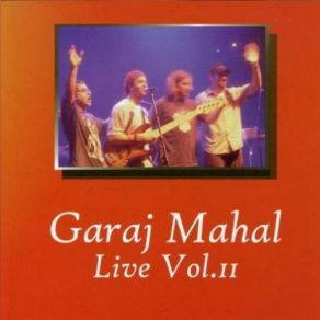 Live Vol. II album cover