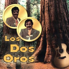 Un Sueno De Tantos album cover