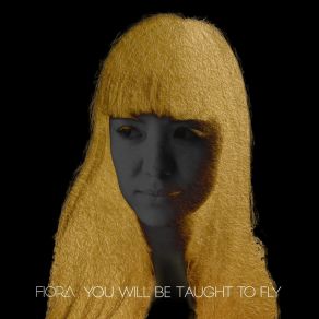 You Will Be Taught To Fly album cover