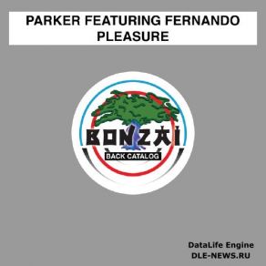 Pleasure (Maxi-Single) album cover