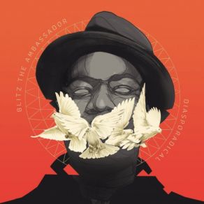 Diasporadical album cover
