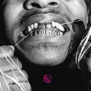 Floss album cover