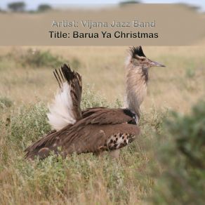 Barua Ya Christmas album cover