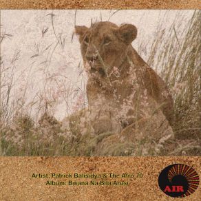 Bwana Na Bibi Harusi album cover
