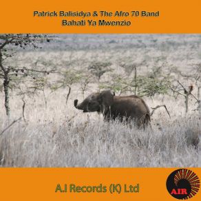 Bahati Ya Mwenzio album cover