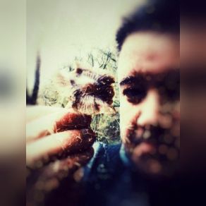 Boletus Pulch album cover