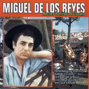 Noches Bonitas De España (CD2) album cover