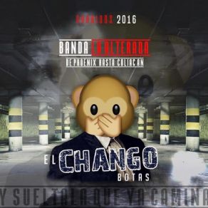 Chango Botas (Single) album cover