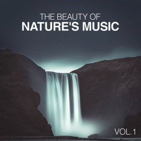 The Beauty Of Nature's Music album cover