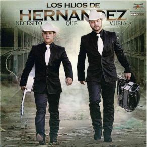 Necesito Que Vuelva album cover