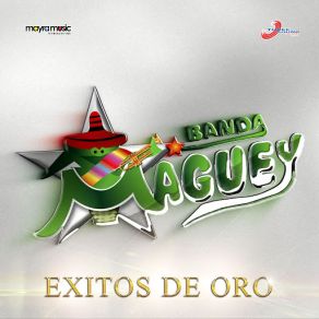 Exitos De Oro album cover