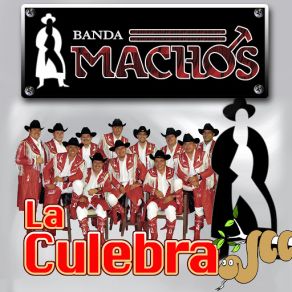 La Culebra album cover