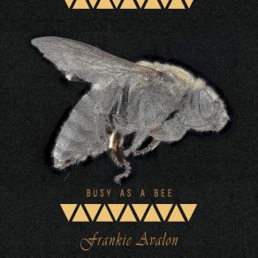 Busy As A Bee album cover