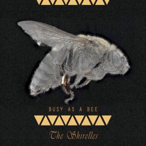 Busy As A Bee album cover