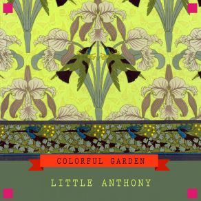 Colorful Garden album cover