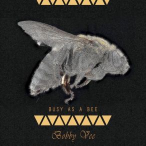 Busy As A Bee album cover
