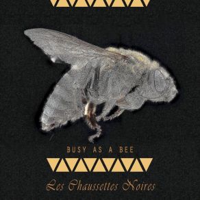 Busy As A Bee album cover