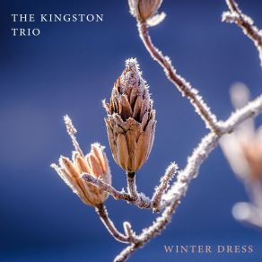Winter Dress album cover